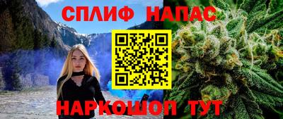 СК Ставрополь