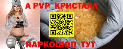 СК Ставрополь