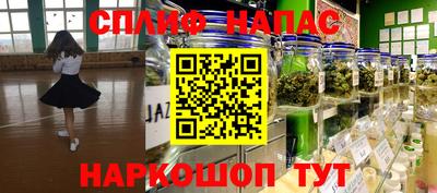 СК Ставрополь