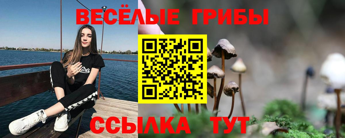 Галлюциногенные грибы Psilocybe  купить наркотики цена  Вход с VPN  Реж  Псилоцибиновые грибы мухоморы 